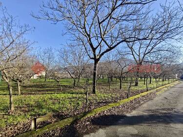 foto principale del terreno