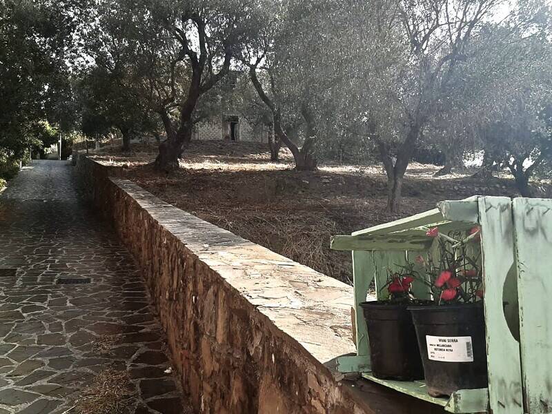 foto principale del terreno