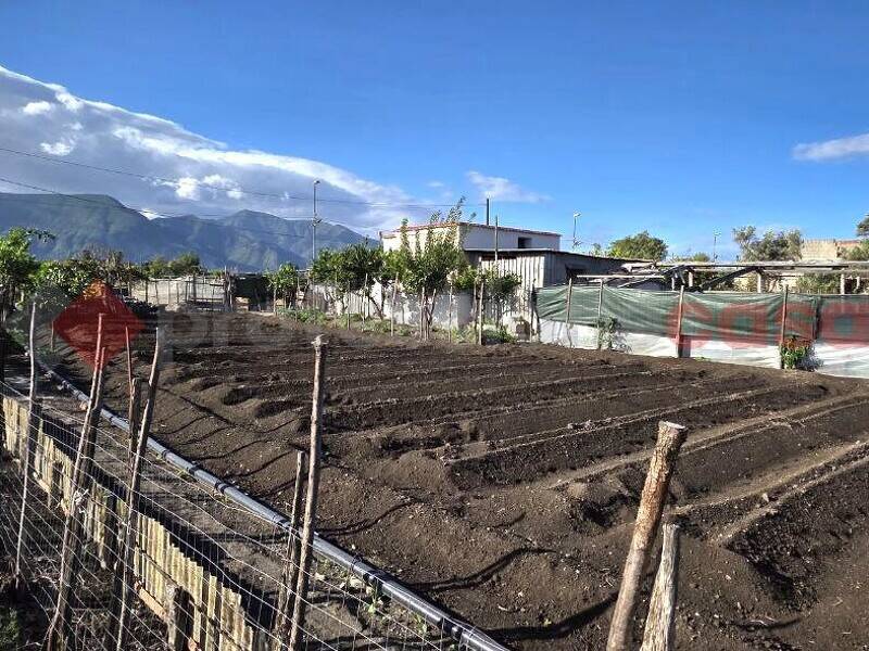 foto principale del terreno
