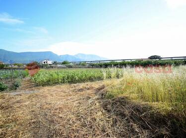 foto principale del terreno