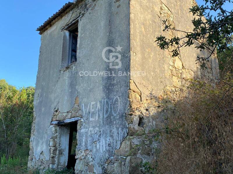 foto principale del terreno