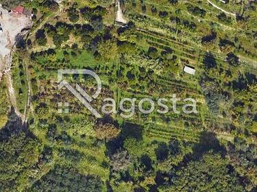 foto principale del terreno