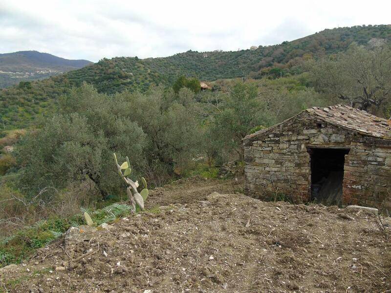 foto principale del terreno