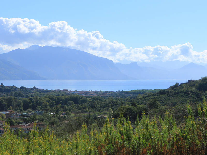 foto principale del terreno