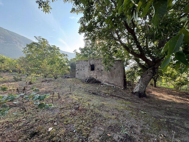 foto principale del terreno
