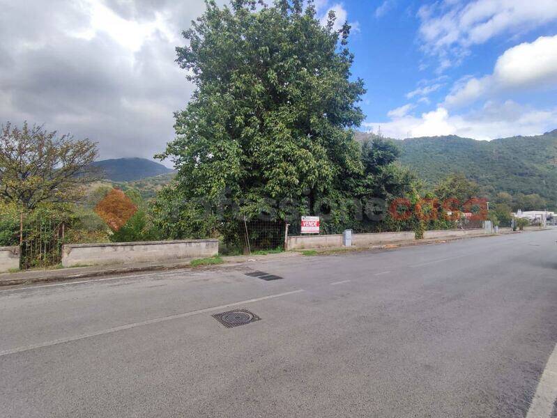 foto principale del terreno