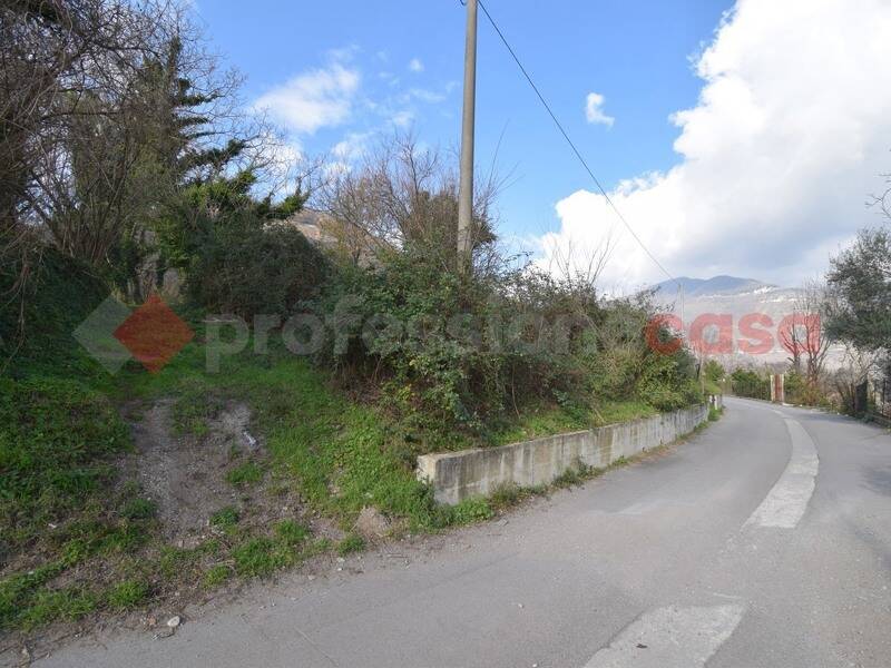 foto principale del terreno