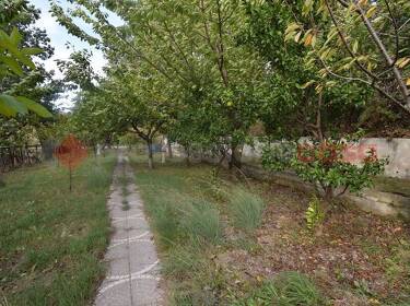 foto principale del terreno