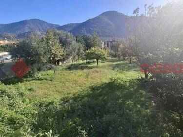 foto principale del terreno