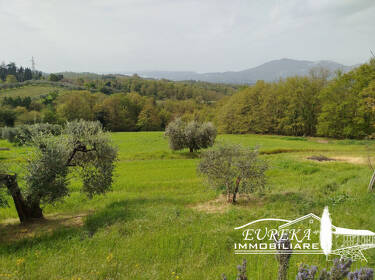 foto principale del terreno