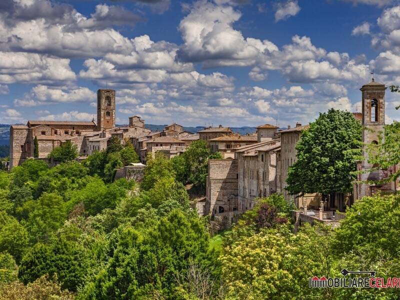 foto principale del terreno