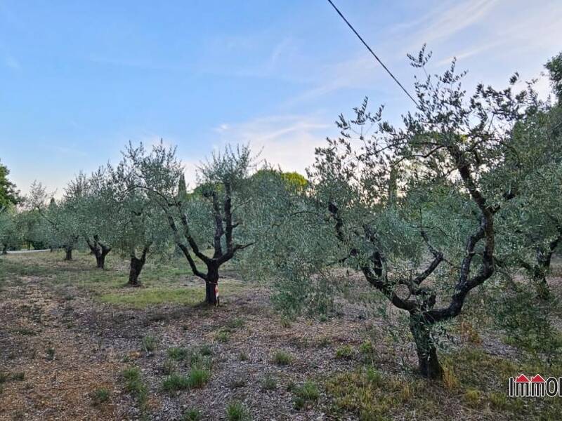 foto principale del terreno