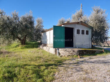 foto principale del terreno