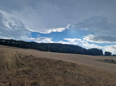 foto principale del terreno