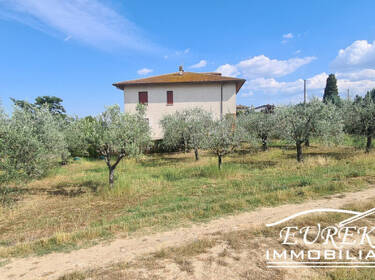 foto principale del terreno