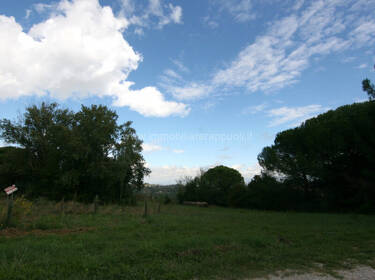 foto principale del terreno