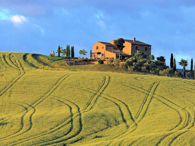 foto principale del terreno