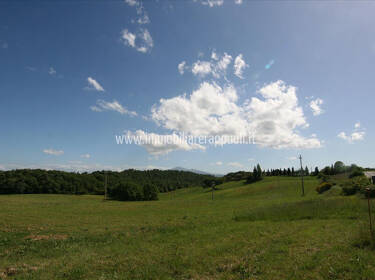 foto principale del terreno