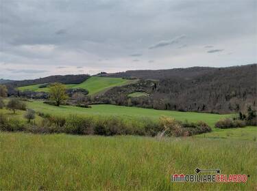 foto principale del terreno