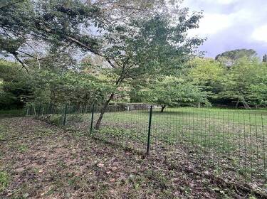 foto principale del terreno