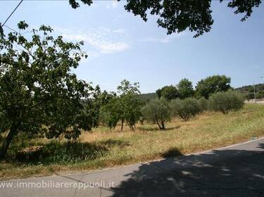 foto principale del terreno