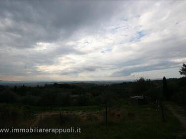 foto principale del terreno