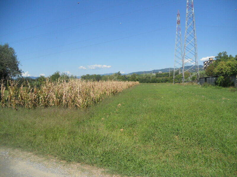 foto principale del terreno