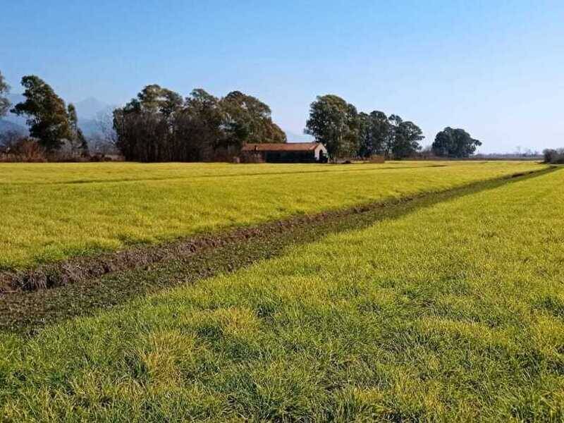 foto principale del terreno