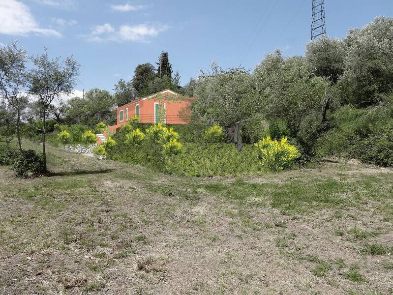 foto principale del terreno