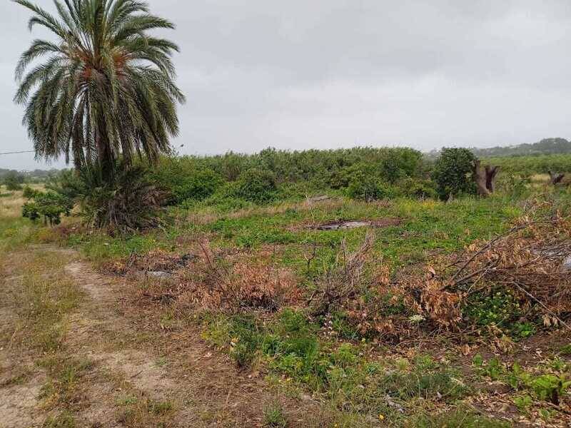 foto principale del terreno