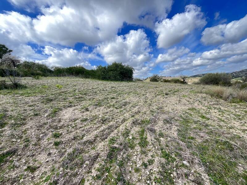 foto principale del terreno