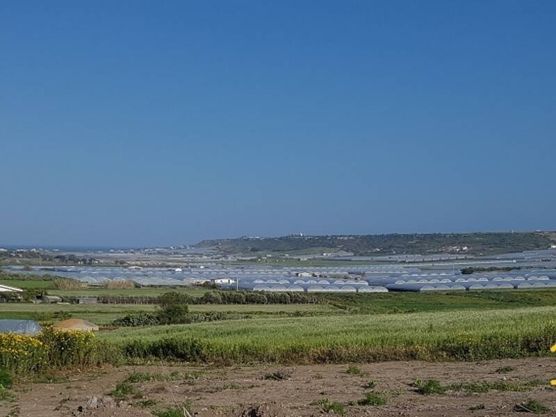 foto principale del terreno