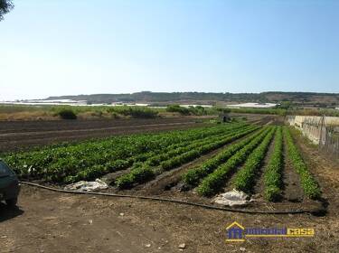 foto principale del terreno