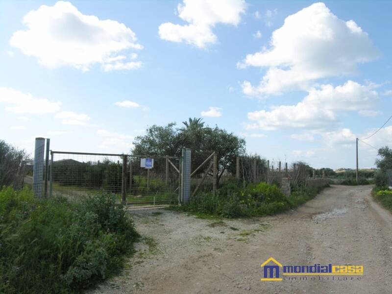 foto principale del terreno