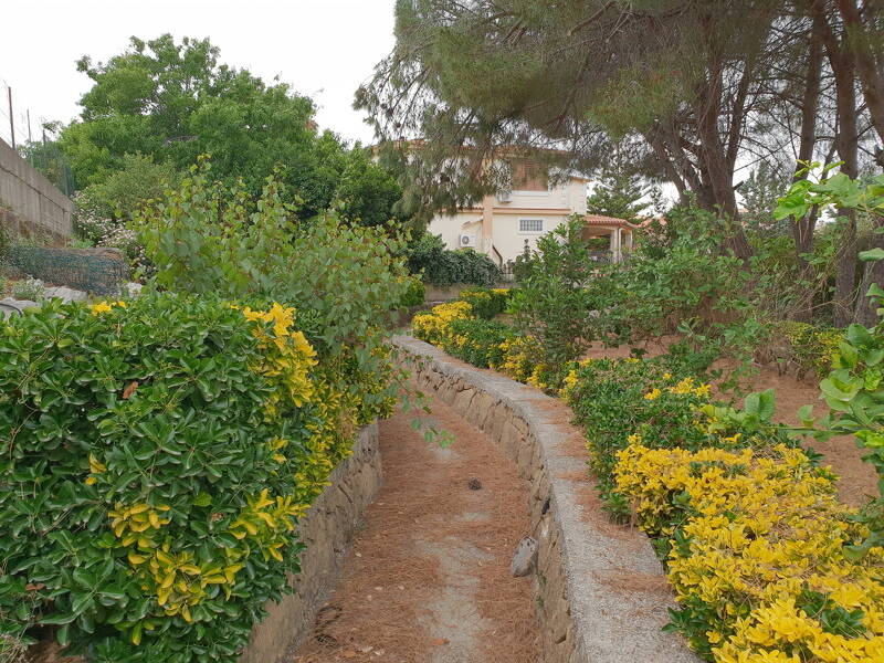 foto principale del terreno