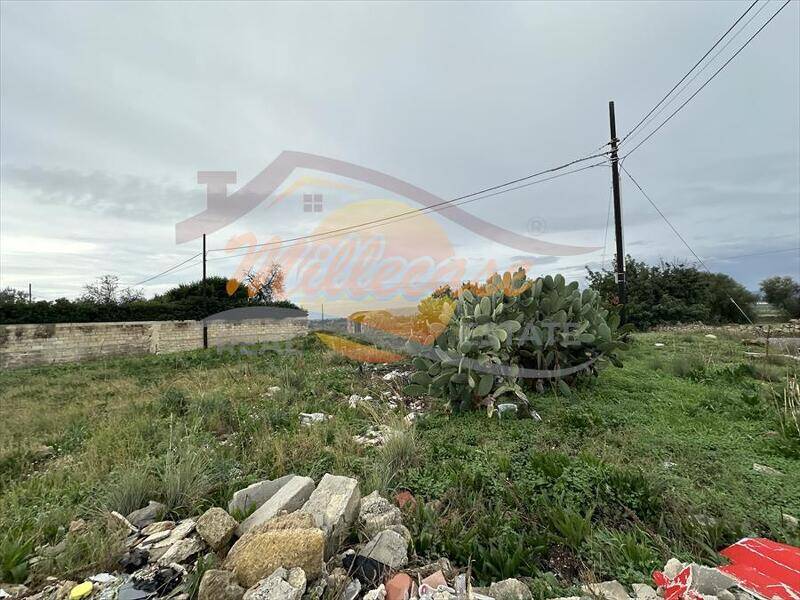 foto principale del terreno