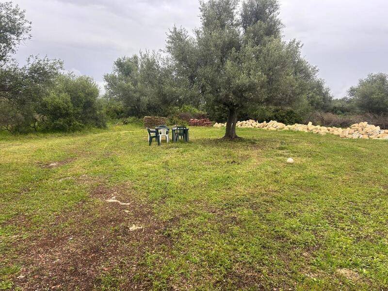 foto principale del terreno