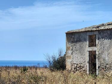 foto principale del terreno