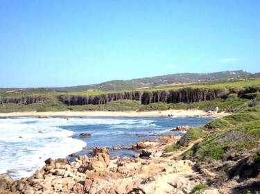 foto principale del terreno