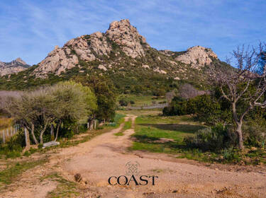 foto principale del terreno