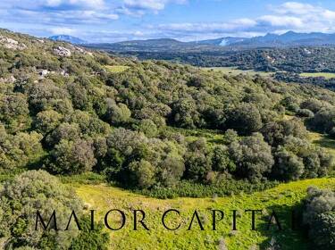 foto principale del terreno