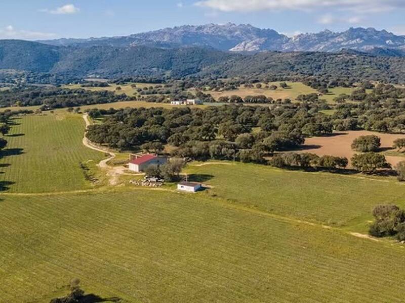foto principale del terreno
