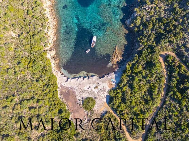 foto principale del terreno