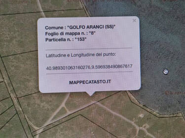foto principale del terreno