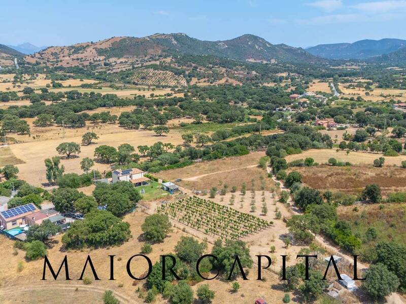 foto principale del terreno