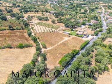 foto principale del terreno