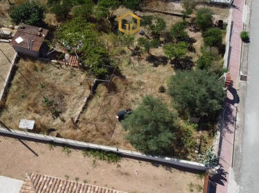 foto principale del terreno