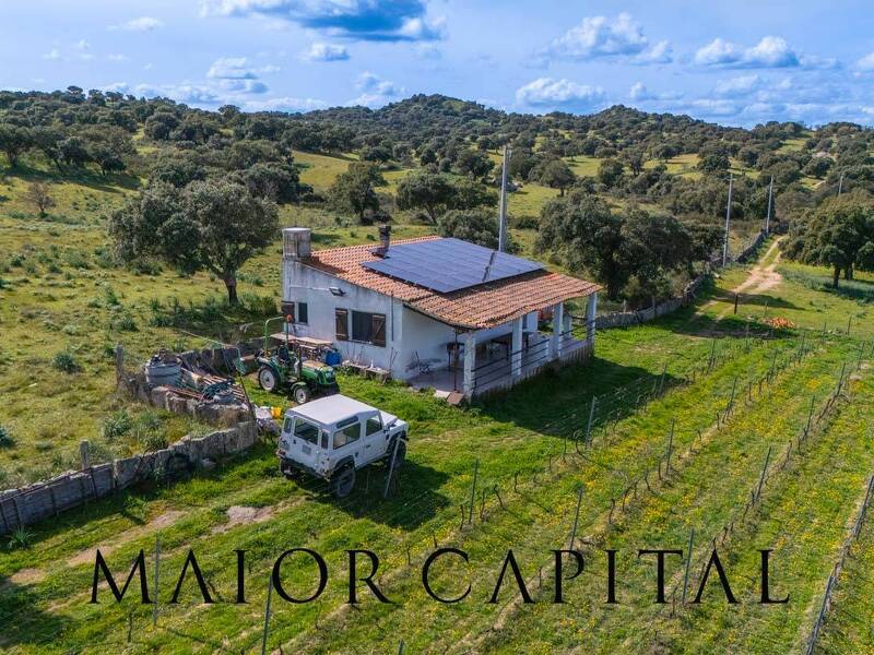 foto principale del terreno