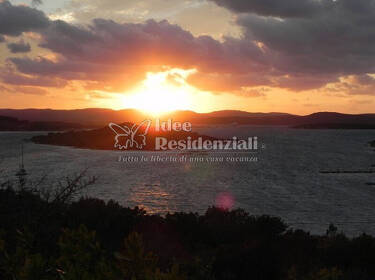 foto principale del terreno