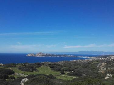 foto principale del terreno